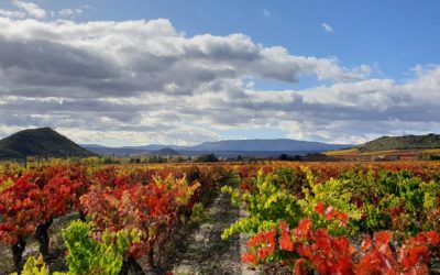 Márqueting y Storytelling en La Rioja