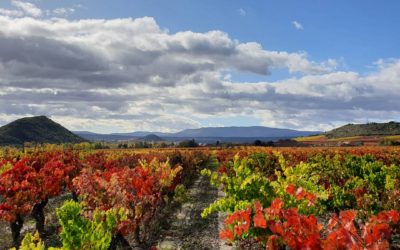 Màrqueting i Storytelling a La Rioja