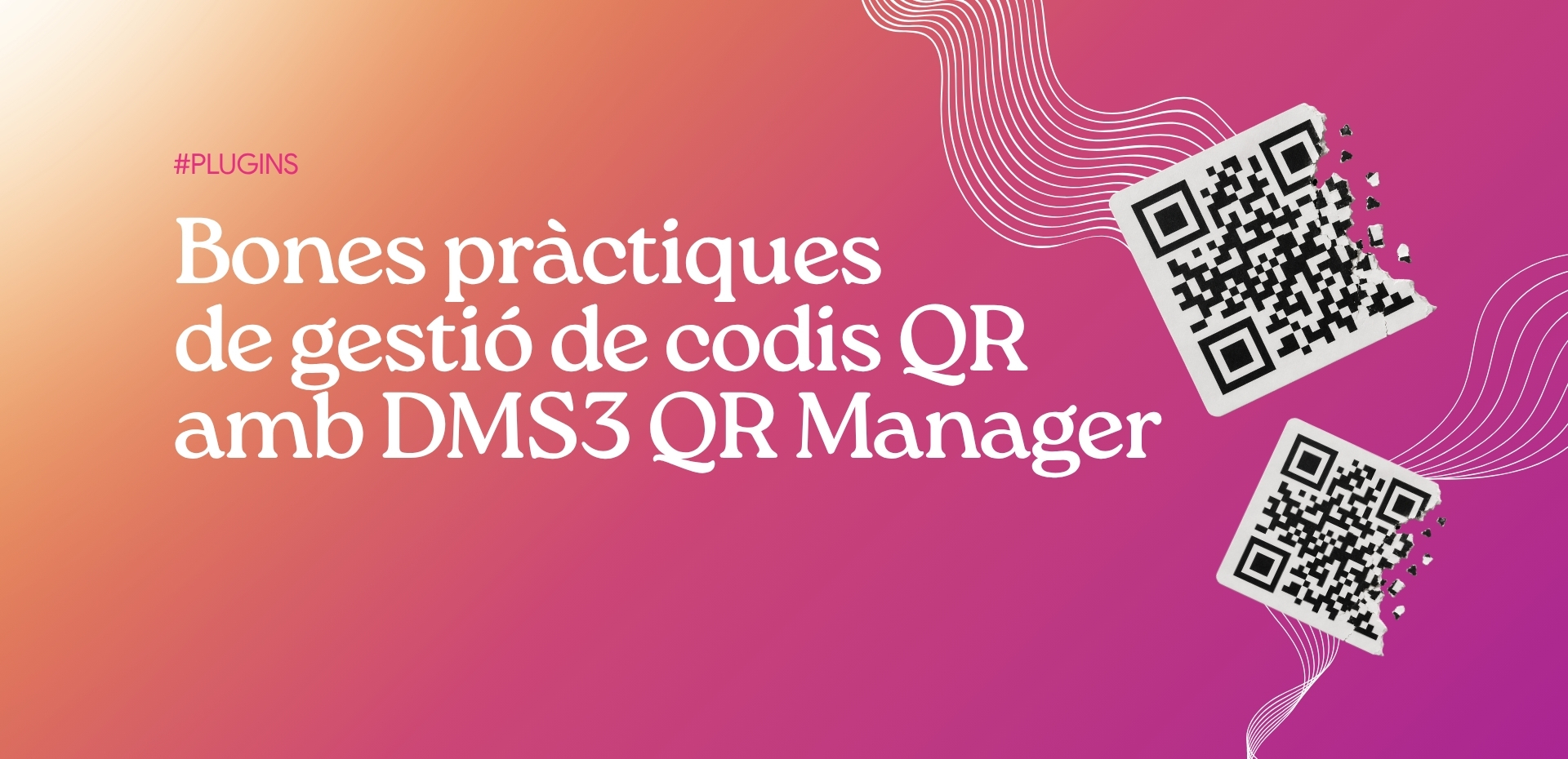 DMS3 Blog