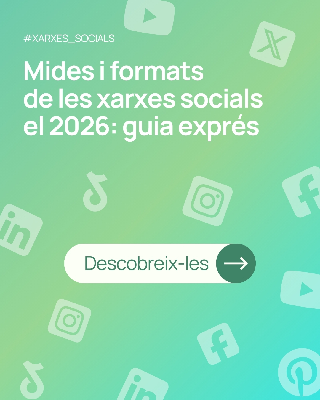 Mides i formats de les xarxes socials el 2026: guia exprés