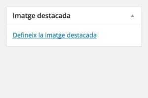 manual-post-blog-imatge-destacada-dms3